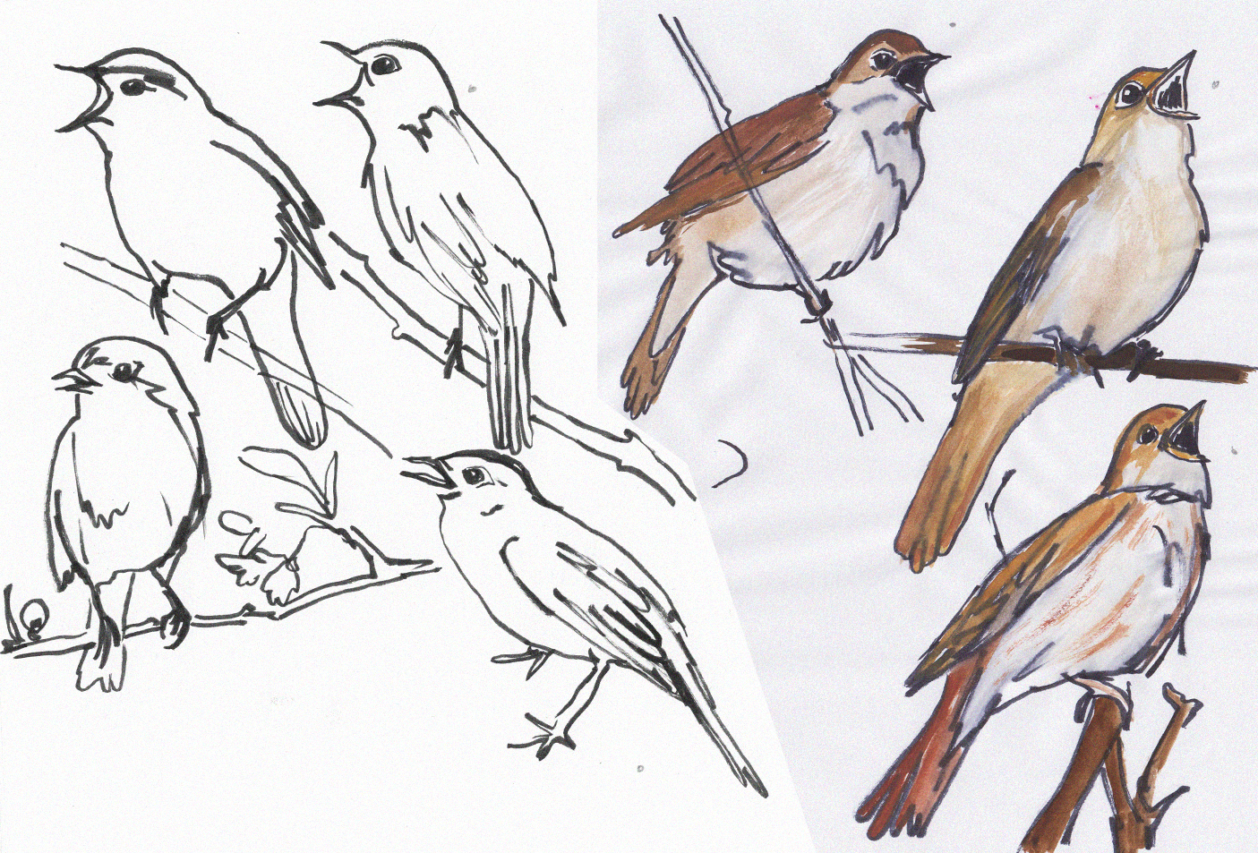 szkice do wzoru ze słowikami